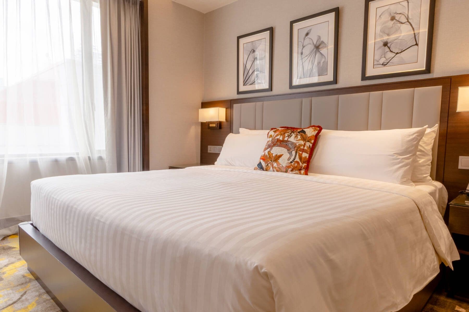 Room Display Image